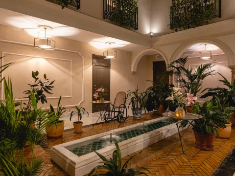 Hotel Gravina 51