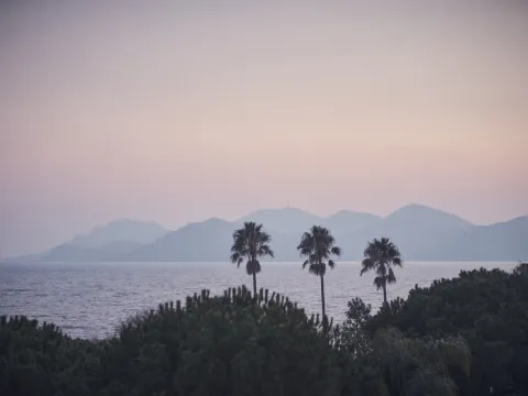 Belle Plage
