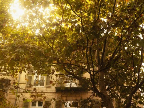Grand Hôtel Nord-Pinus