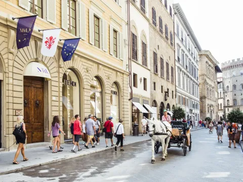 Hotel Milù